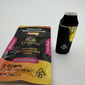 Disposable Pens 2 Gram