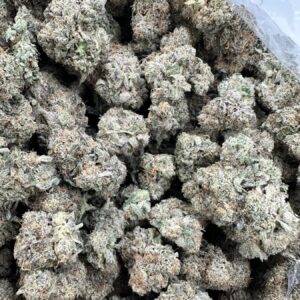 Blue Lobster Greenleaf flower macro showing dense frosted buds with heavy trichome coverage and tight calyx structure