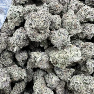 blueberry sugar macro showing dense white-frosted buds with crystalline trichome coverage and green undertones