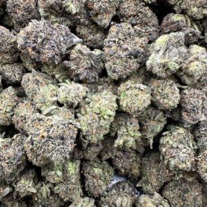 Double Limoncello Greenleaf flower cluster with dense, resinous buds showing thick white trichome frost and compact calyx structure