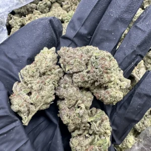 Jelly Cake strain flower macro close-up showing dense, frost-covered buds with heavy trichome coverage in a black gloved hand