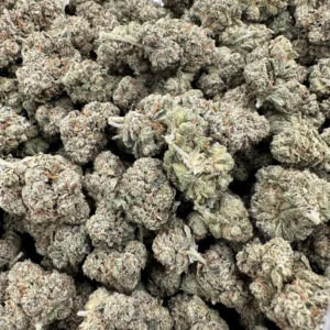 Skywalker OG Greenleaf flower buds with dense trichome coverage, light green calyxes, and orange pistils visible across multiple compact flowers