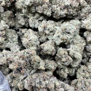 Soureen Greenleaf flower drop multi-bud cluster with dense cream and green trichome coverage, compact calyx structure, and visible orange pistils